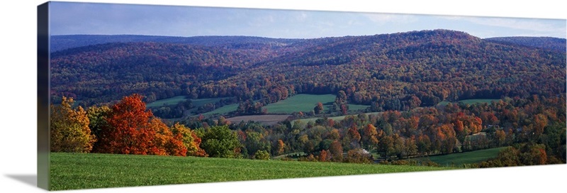 Trees on a hill, Adams, Berkshire County, Massachusetts | Great Big Canvas