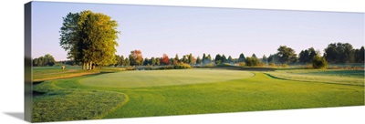 Trees on a landscape, Fairfax National Golf Club, Centreville, Virginia