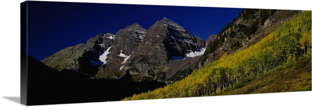 Panoramic wall art of a photograph looks up a mountainside covered with trees and mountain peaks beyond.