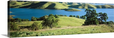 Trees on the banks of a river, San Luis Reservoir, Dinosaur Point Area, Merced County, California
