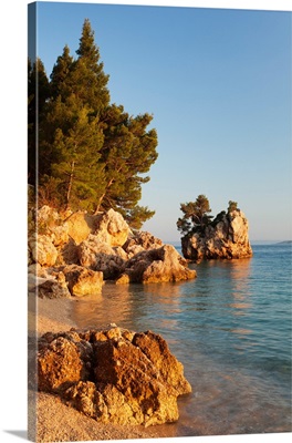 Trees on the rocks, Brela, Makarska Riviera, Dalmatia, Croatia