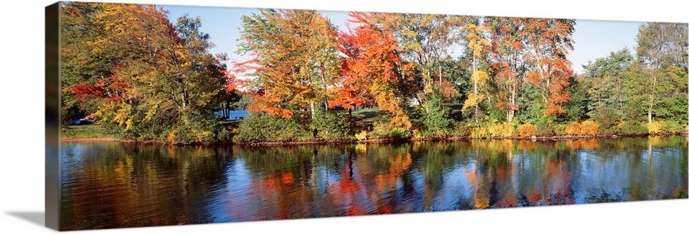 Trees reflected in stream Andover NH Wall Art, Canvas Prints, Framed ...