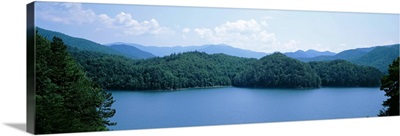 Trees surrounding a lake, Fontana Lake, North Carolina