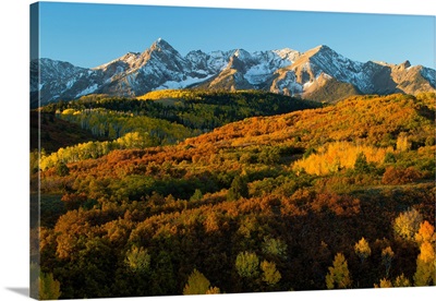 Trees with mountain range in the background at dusk, Aspen, Pitkin County, Colorado