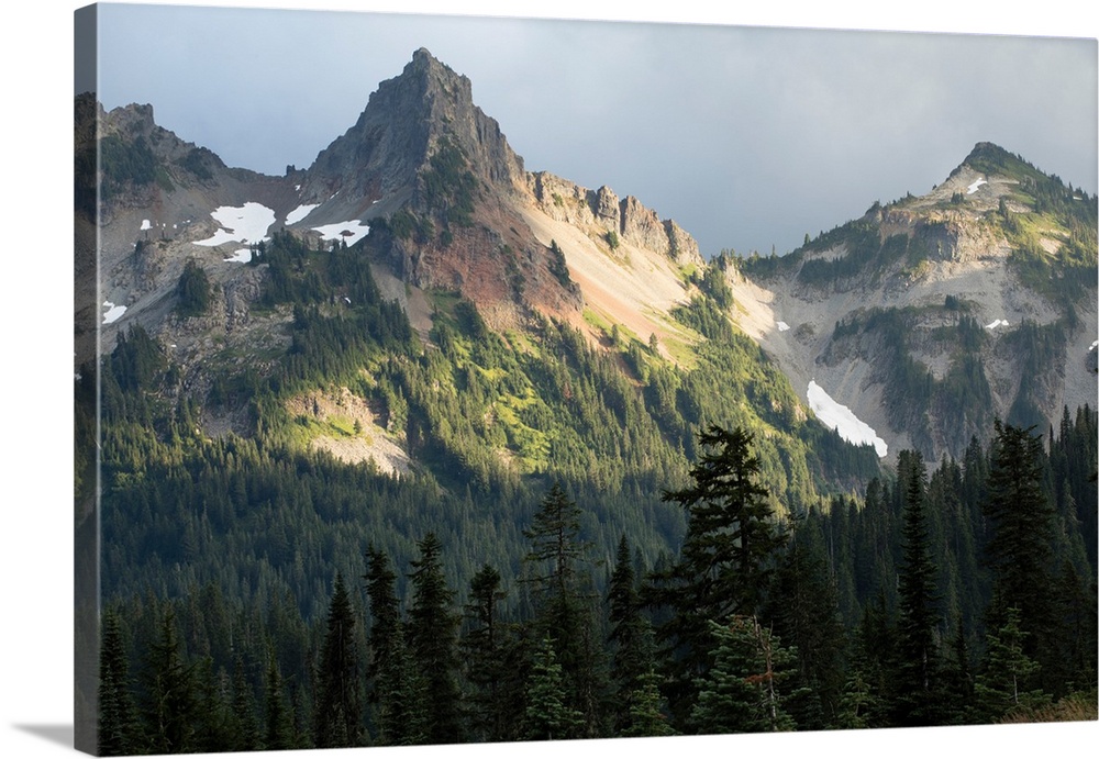 Trees with mountain range in the background, Mount Rainier National Park, Washington State, USA