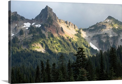 Trees with mountain range in the background, Mount Rainier National Park