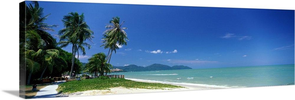 Tropical Beach Penang Malaysia