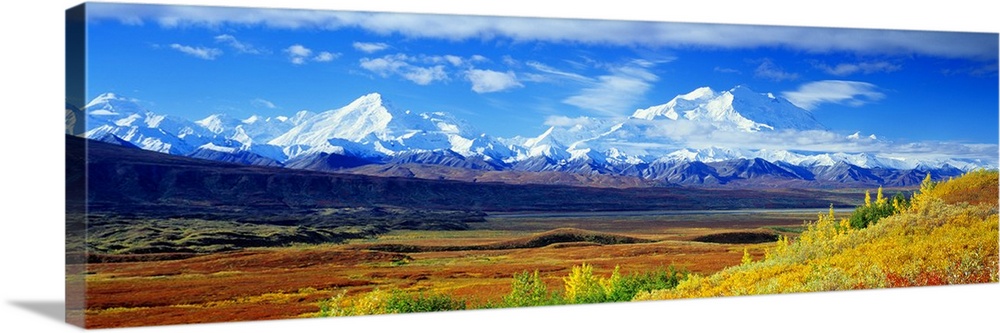 A large panoramic photograph of Mount McKinley taken from afar with terrain and grasslands in the foreground.