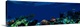 image thumbnail of Photograph of a coral reef with several coral and sponge species along the bottom, and four tropical fish swimming above.