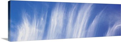 Unique cirrus cloud fall streaks over Anza-Borrego Desert State Park, California