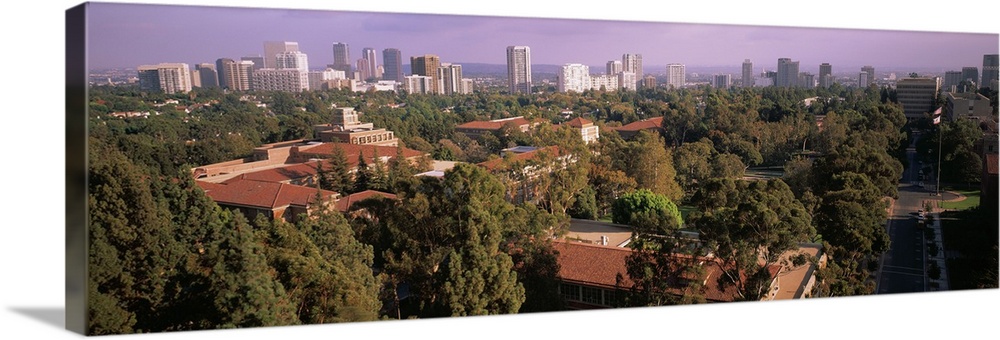 University campus, University Of California, Los Angeles, California