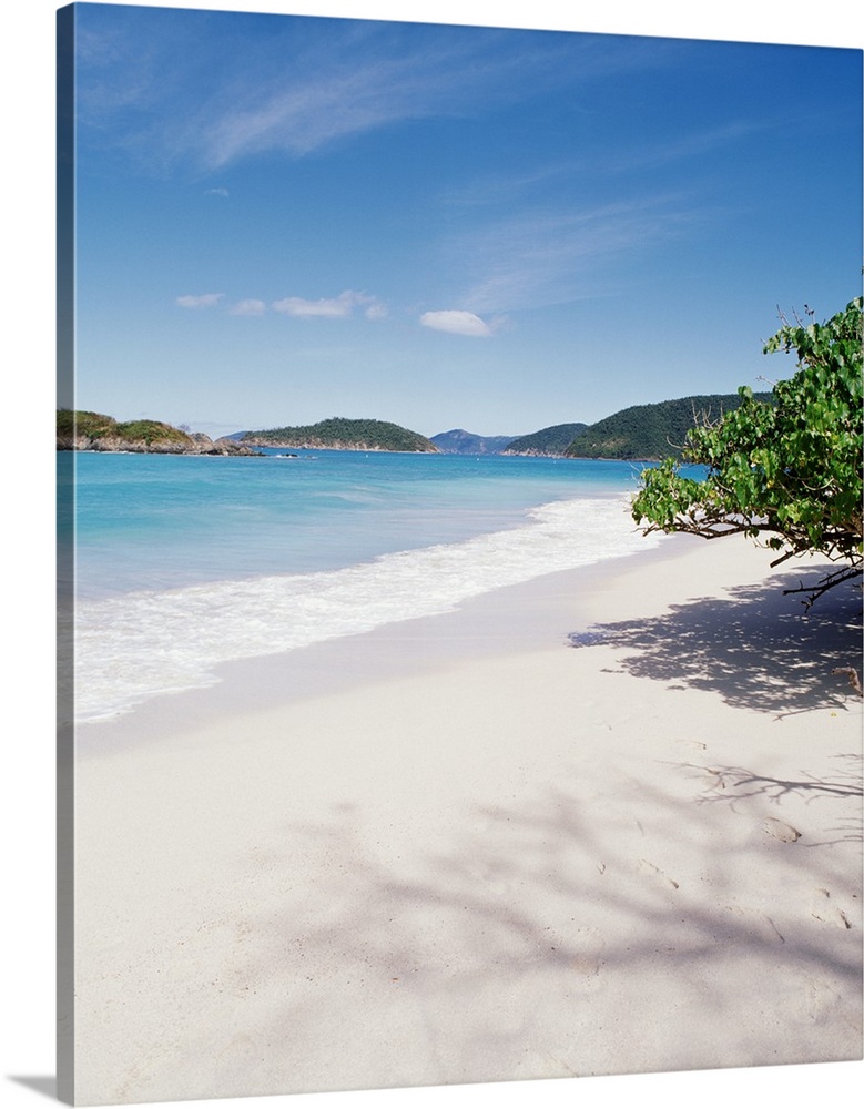 This decorative accent is a vertical photograph of the tropical sky and sandy beach.