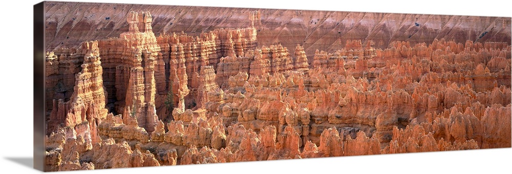 Panoramic, aerial photograph on a big canvas of the jagged rock formations of the Grand Canyon, taken from Bryce Canyon Na...