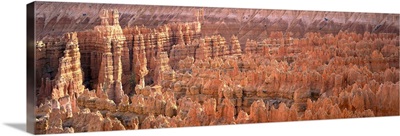 Utah, Bryce Canyon National Park, Aerial view of the Grand Canyon