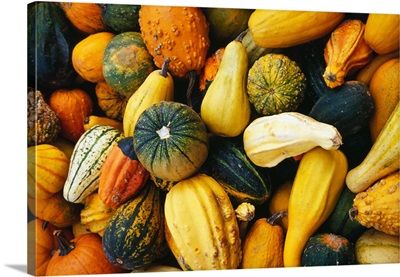 Variety of gourds, close up.
