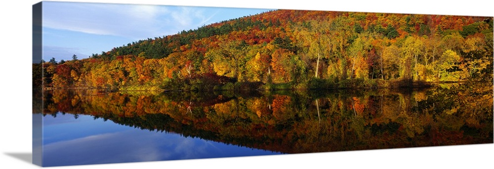 Panoramic photograph of  river lined with autumn forest under a cloudy sky.  The tree line is reflected in the water below.