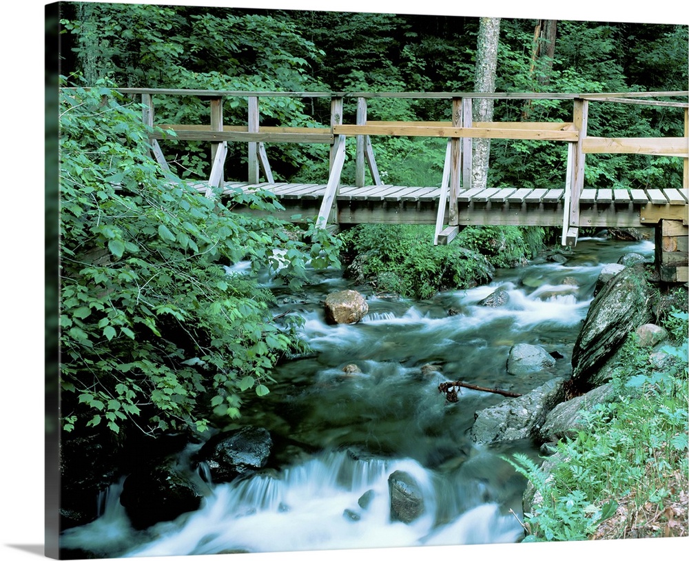 Vermont, Granville Gulf State Reservation, Creek flowing through Moss Glen Falls