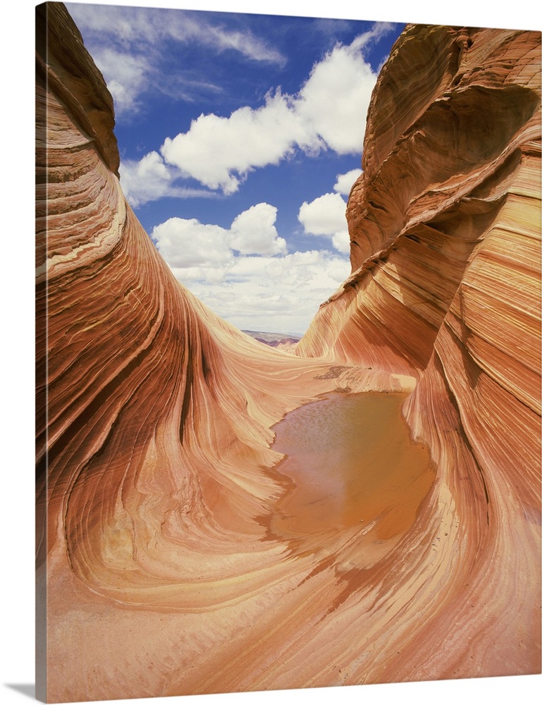 View of a canyon, the wave, navajo sandstone, paria canyon-vermilion cliffs wilderness, coconino county, arizona, USA.