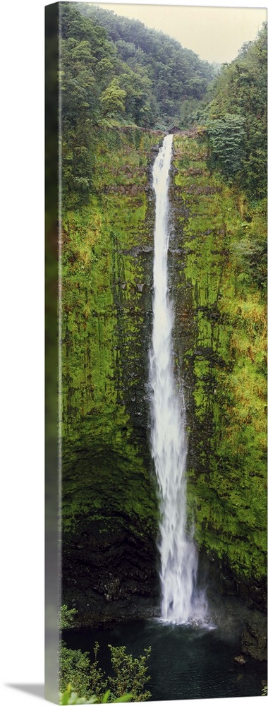 View of a waterfall, Akaka Falls, Akaka Falls State Park, Hawaii County, Hawaii, USA.