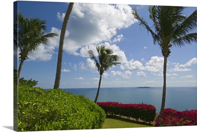 View Of Atlantic Ocean With Blooming Flowers And Palm Trees