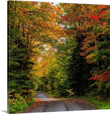 View of dirt road in autumn, Sutton, Quebec, Canada