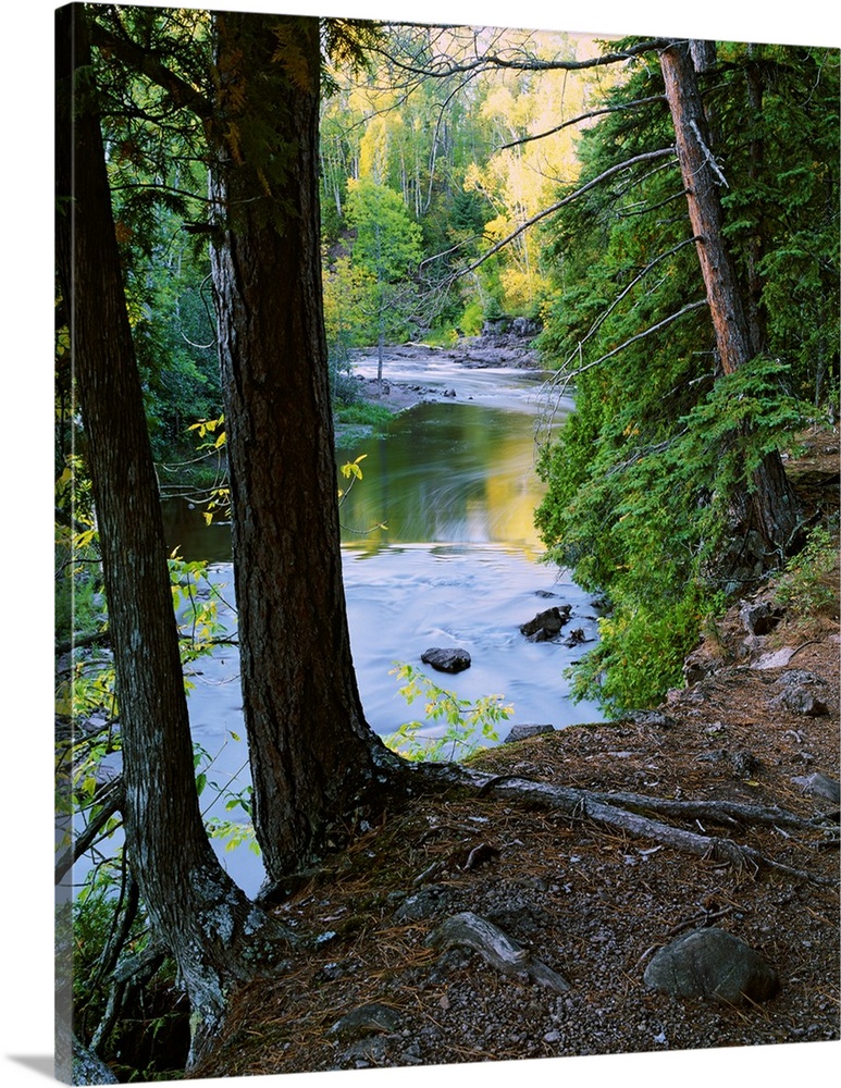 View of Gooseberry River through forest trees, Gooseberry Falls State Park, Minnesota