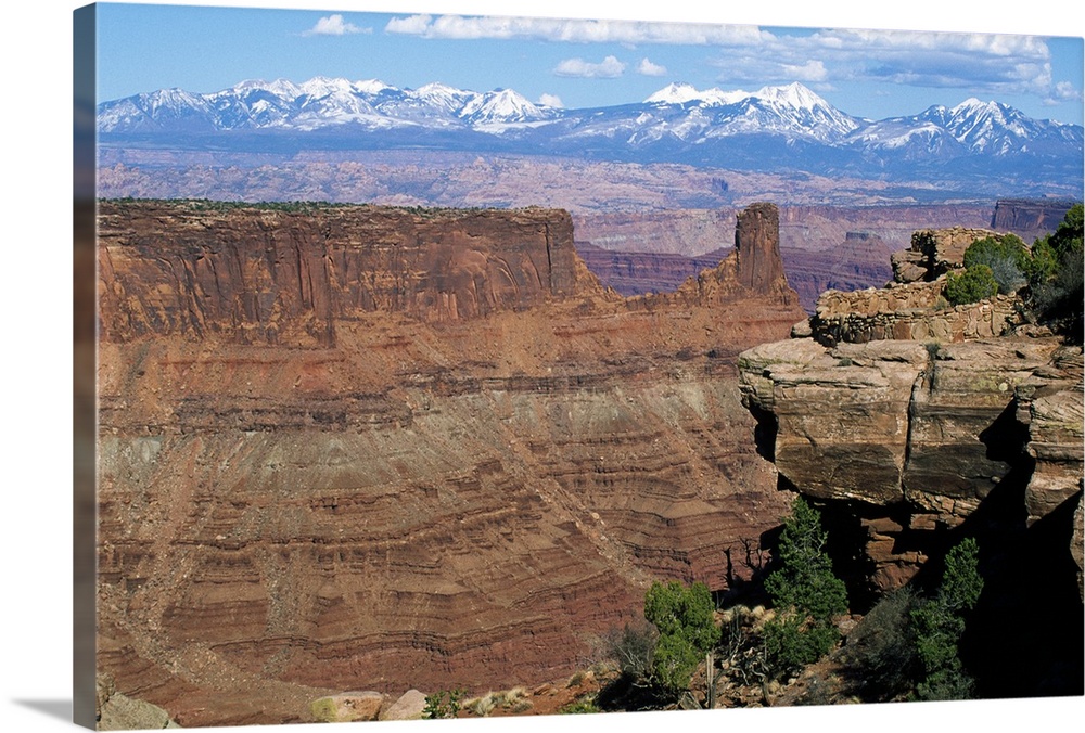 View of Island in the Sky District, distant snow-capped mountains, Canyonlands National Park, Utah