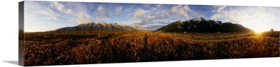 View of landscape with mountain at sunset, Alsek River, British Columbia, Canada