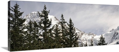 View of Mt Monch and Jungfraujoch, Kleine Scheidegg, Bernese Oberland, Bern, Switzerland
