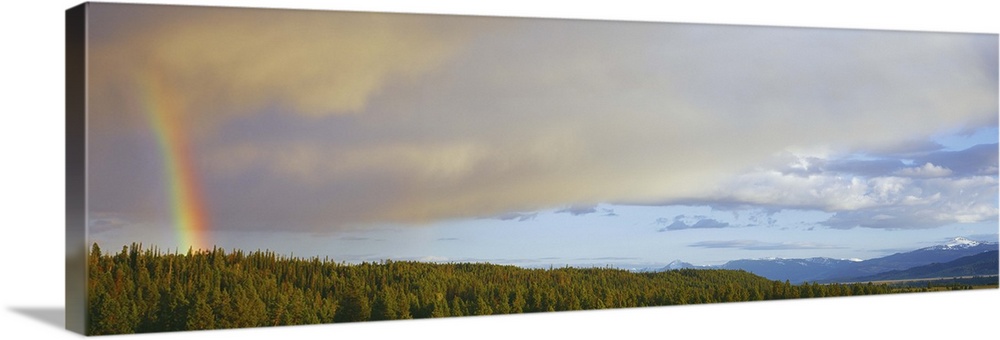 View of rainbow at sunrise, Grand Teton National Park, Teton County, Wyoming, USA.