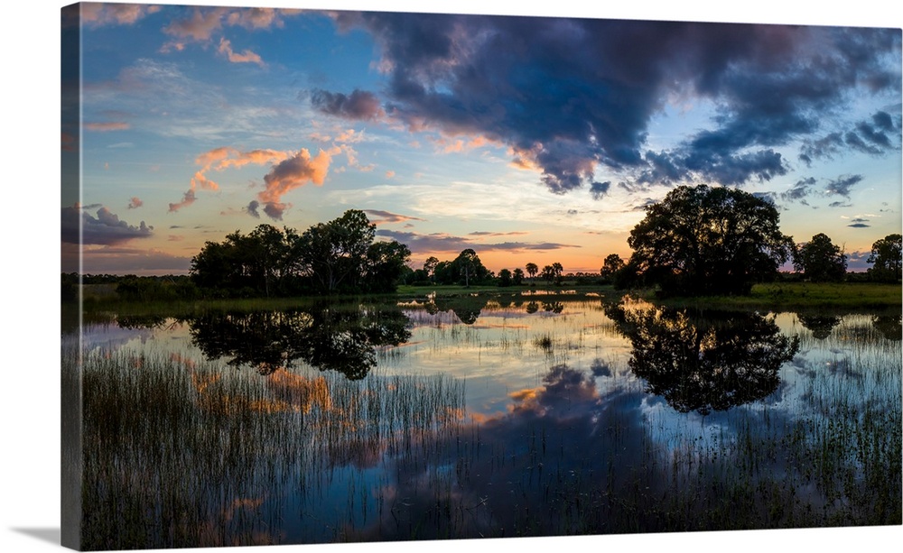 View of small pond at sunset, Venice, Sarasota County, Florida, USA