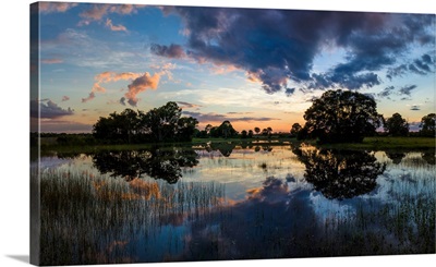 View of small pond at sunset, Venice, Sarasota County, Florida