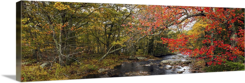 View of stream in fall colors, Maine, USA