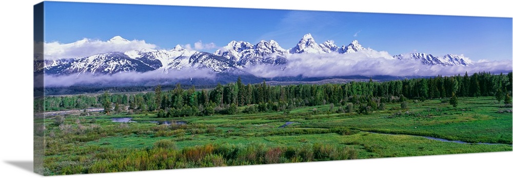 View of the Teton Range and the Snake River corridor from Blacktail Ponds Overlook area, Grand Teton National Park, Wyomin...