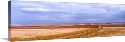 View of wheat fields, Carter, Chouteau County, Montana