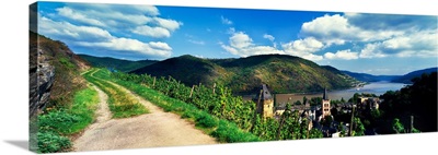 Village Of Bacharach Along Rhine River, Mainz-Bingen, Rhineland-Palatinate, Germany