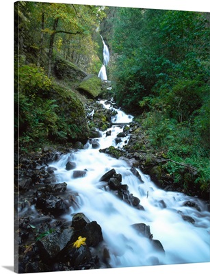 Wahkeena Falls, Columbia River Gorge National Scenic Area, Multnomah County, Oregon