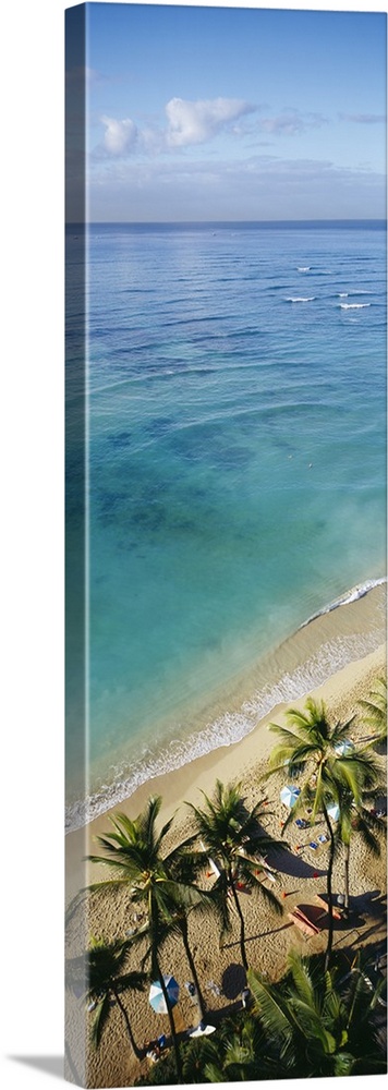 A narrow vertical canvas of the clear water off the coast of Hawaii with palm trees shown in the bottom with waves crashin...