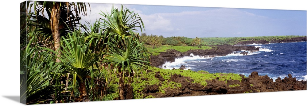 Wainanapanapa State Park Maui Coast HI