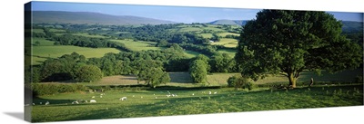 Countryside Wall Art & Canvas Prints | Countryside Panoramic Photos ...