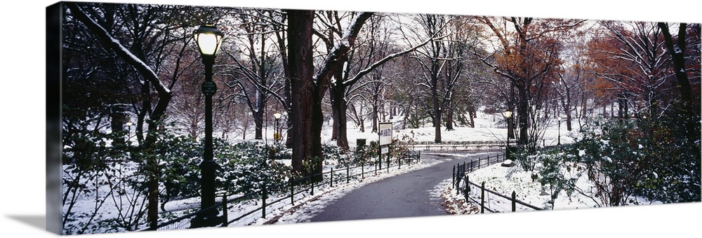 Walkway in a park, Central Park, Manhattan, New York City, New York