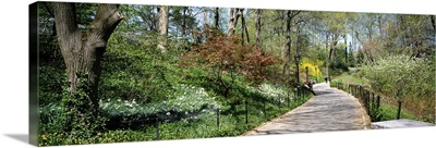 Walkway in a park, Central Park, Manhattan, New York City, New York State