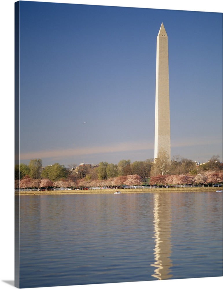 Washington Monument with cherry blossoms, Washington DC