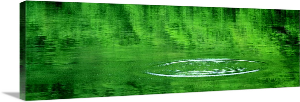 Panoramic photograph on a large wall hanging of still water that reflects the green landscape above it, with only one circ...