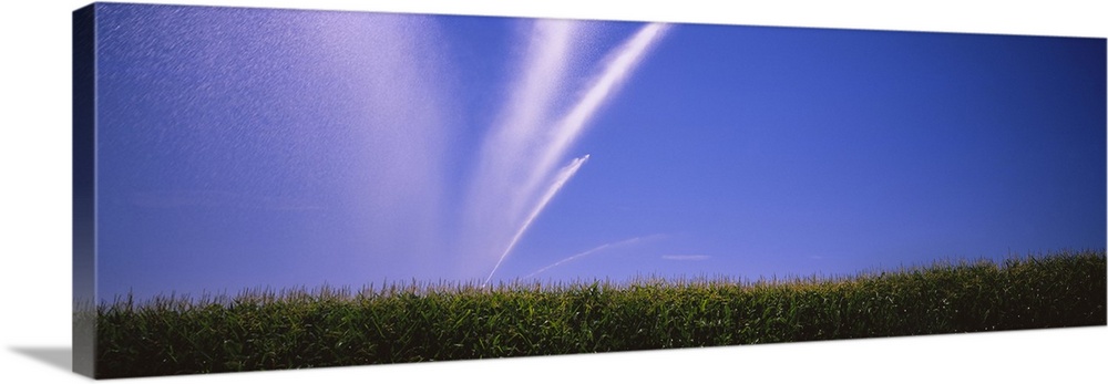 Water being sprayed on a corn field, Washington State