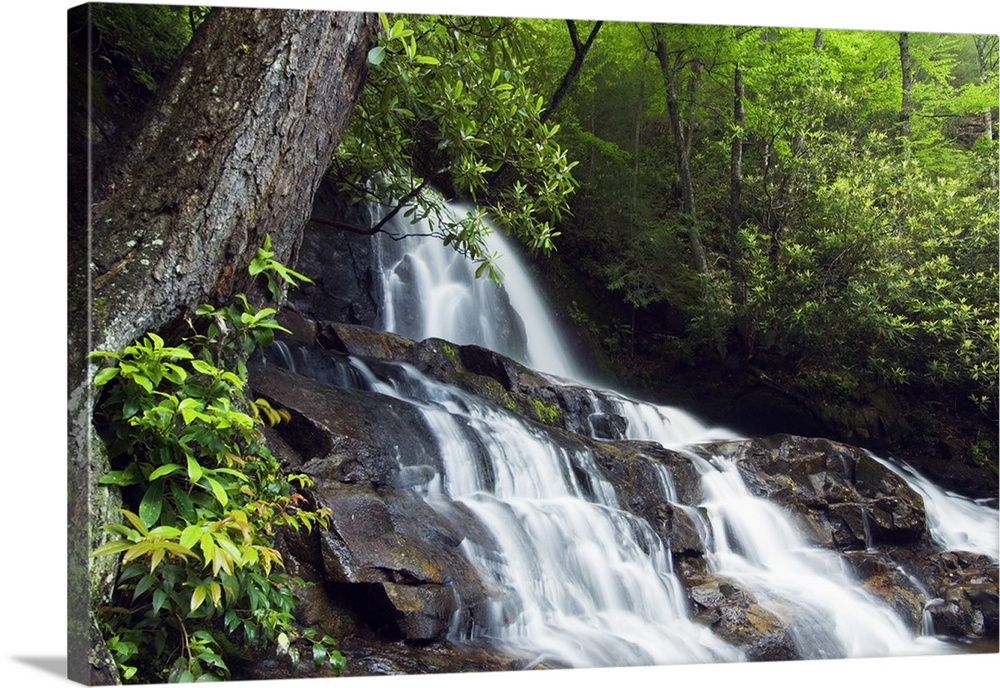 This is a landscape photograph of a waterfall in the forest of a park in the Appalachian Mountains.