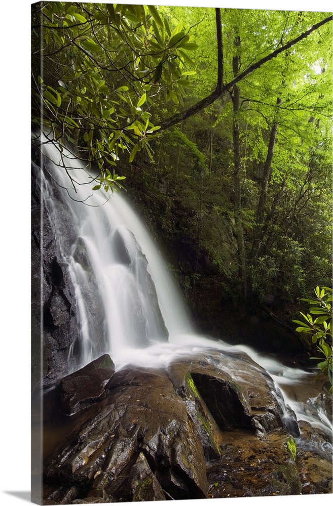 This vertical nature photograph is a waterfall tumbling over large rocks in a forest in the Appalachian Mountains.