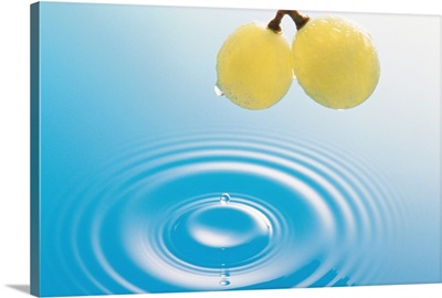 Water droplets on two fresh grapes, ripples in blue water
