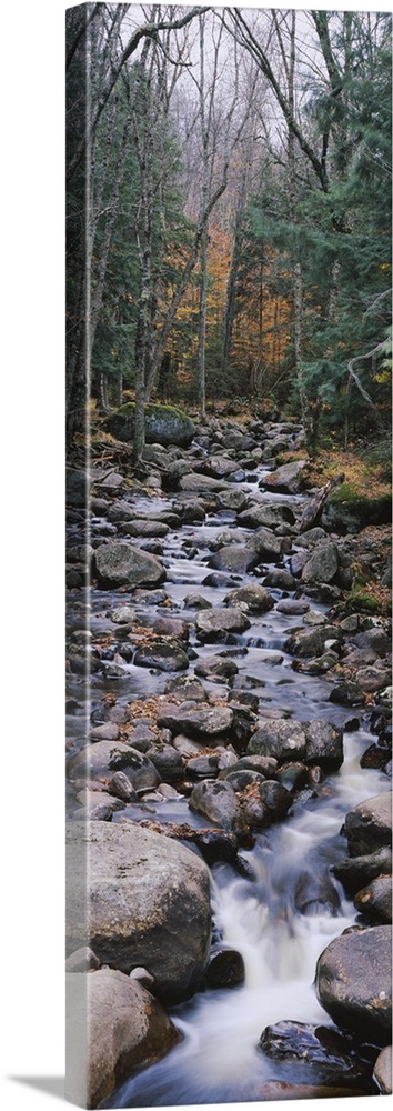 Water flowing in the forest, Adirondack Mountains, New York State