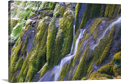 Water streaming down moss-covered cliffs, close up, Vidae Falls, Crater Lake National Park, Oregon